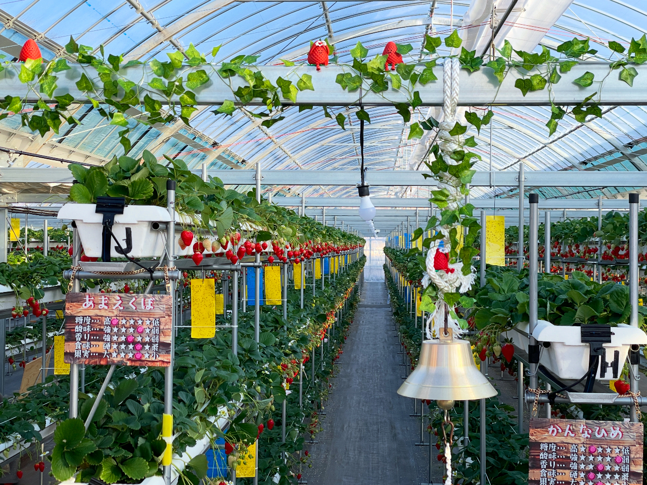 The Factory 15�̎ʐ^2