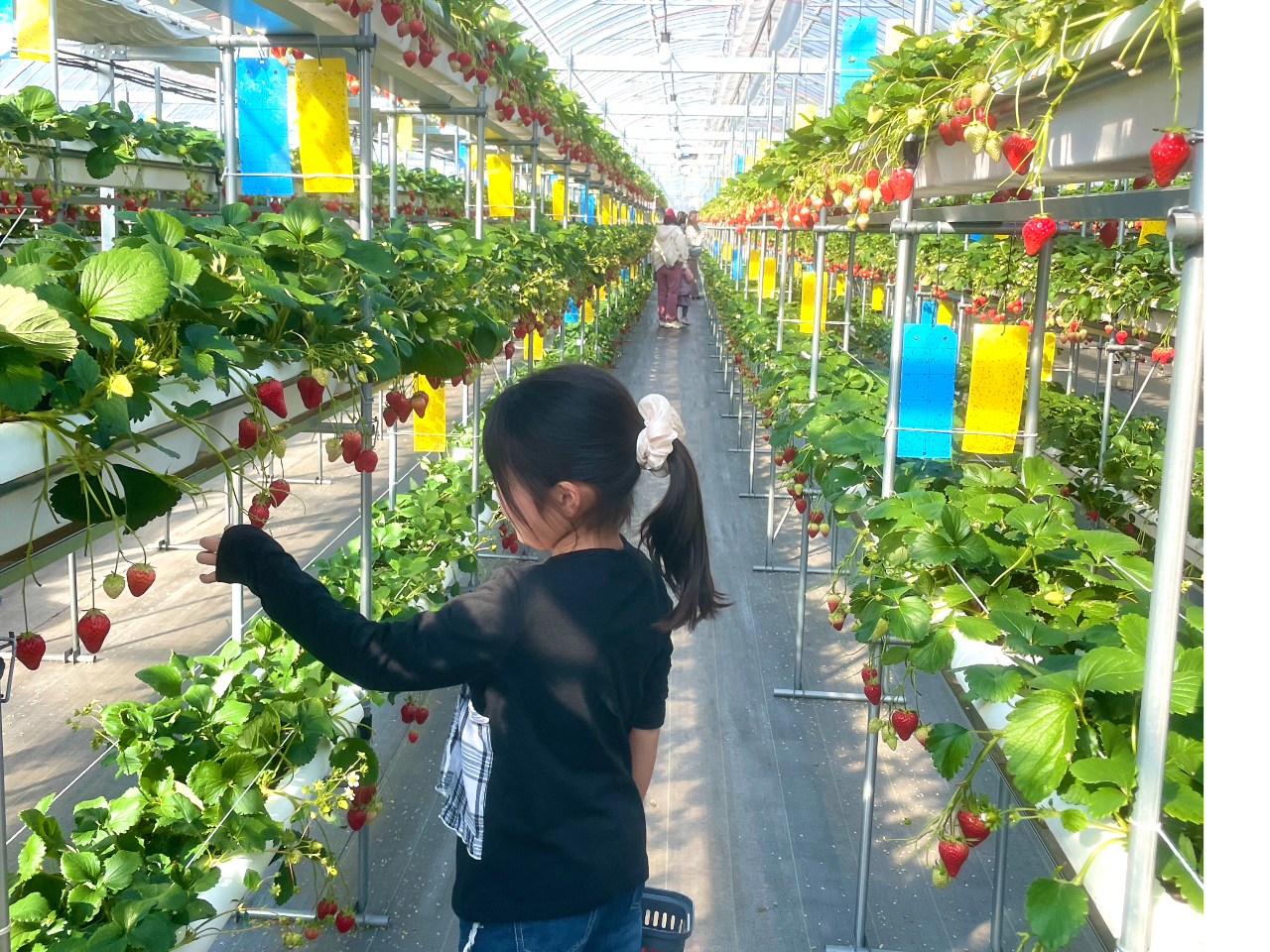 The Factory 15�̎ʐ^3