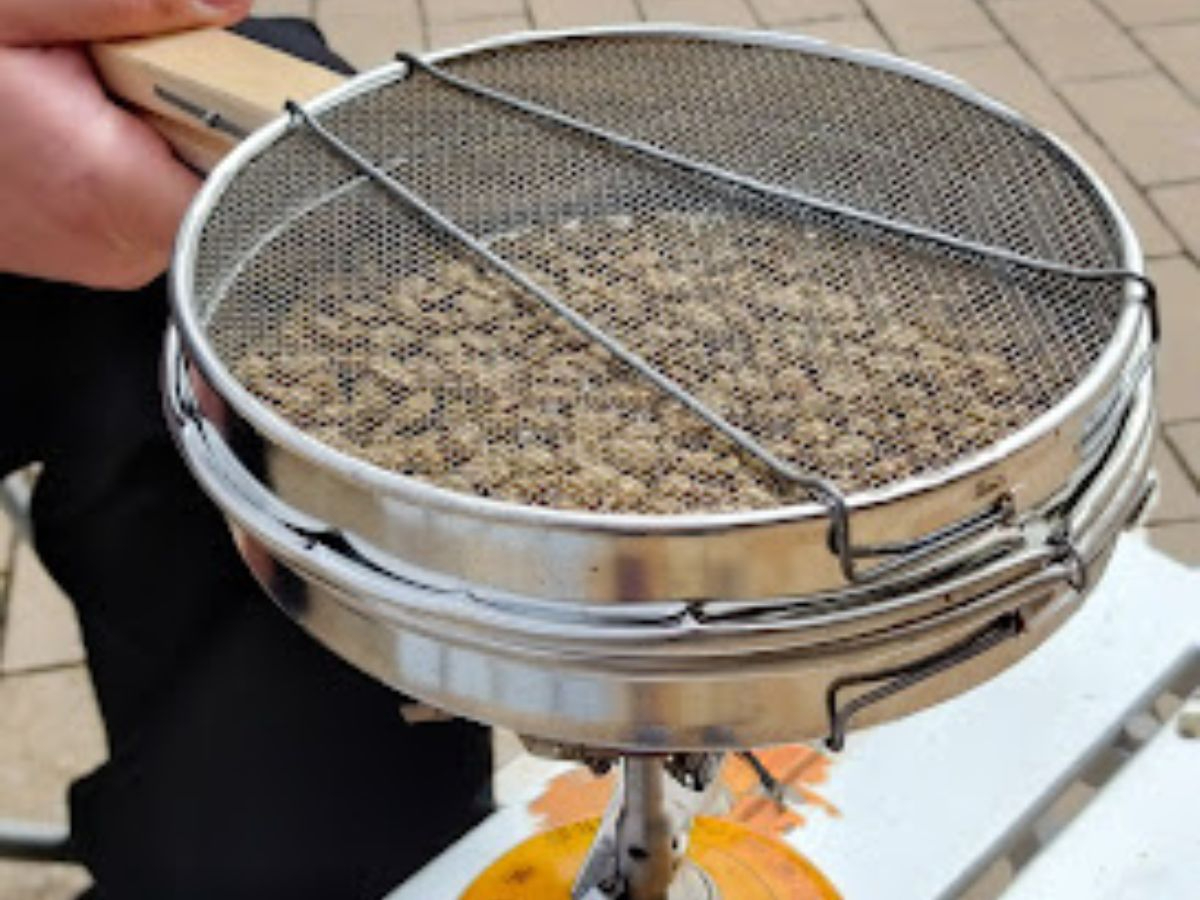 �݂������c�A�[�Y�̎ʐ^1