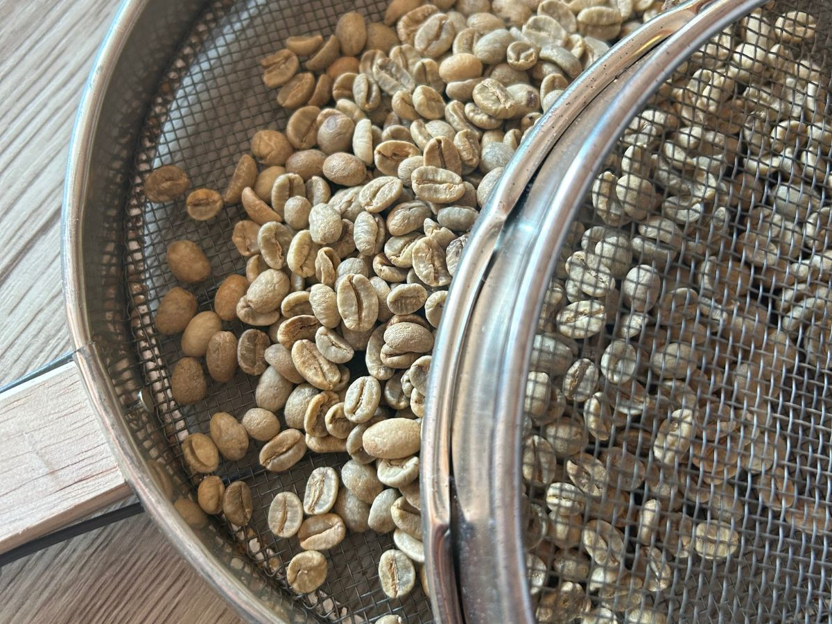 �݂������c�A�[�Y�̎ʐ^2