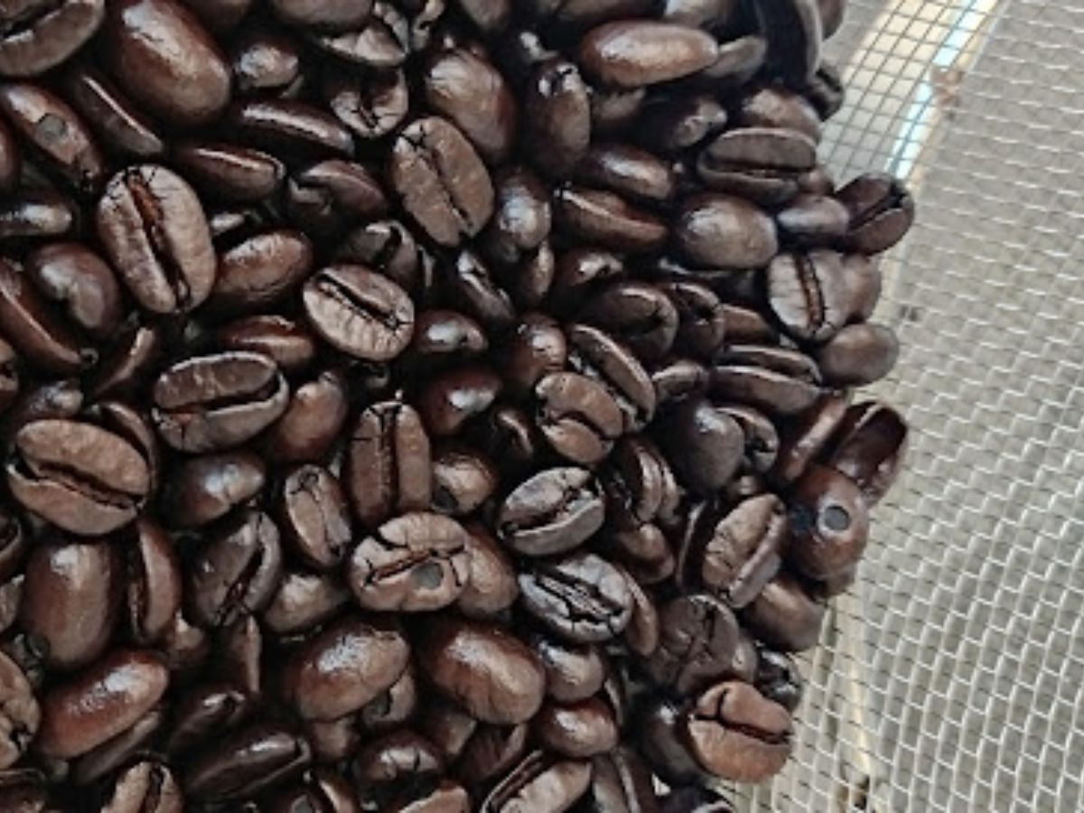 �݂������c�A�[�Y�̎ʐ^4