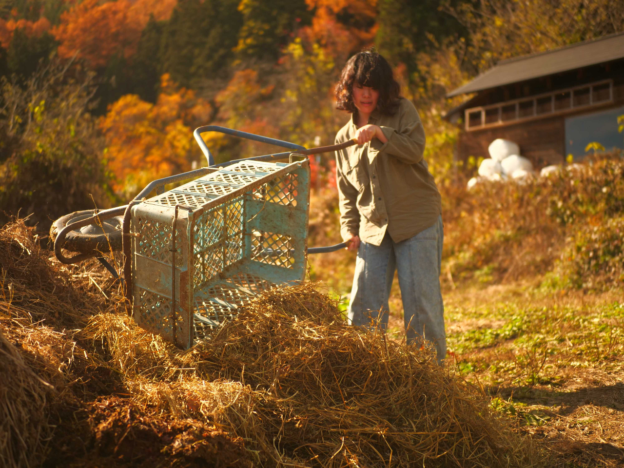 �����ȎR�r�q��̎ʐ^3