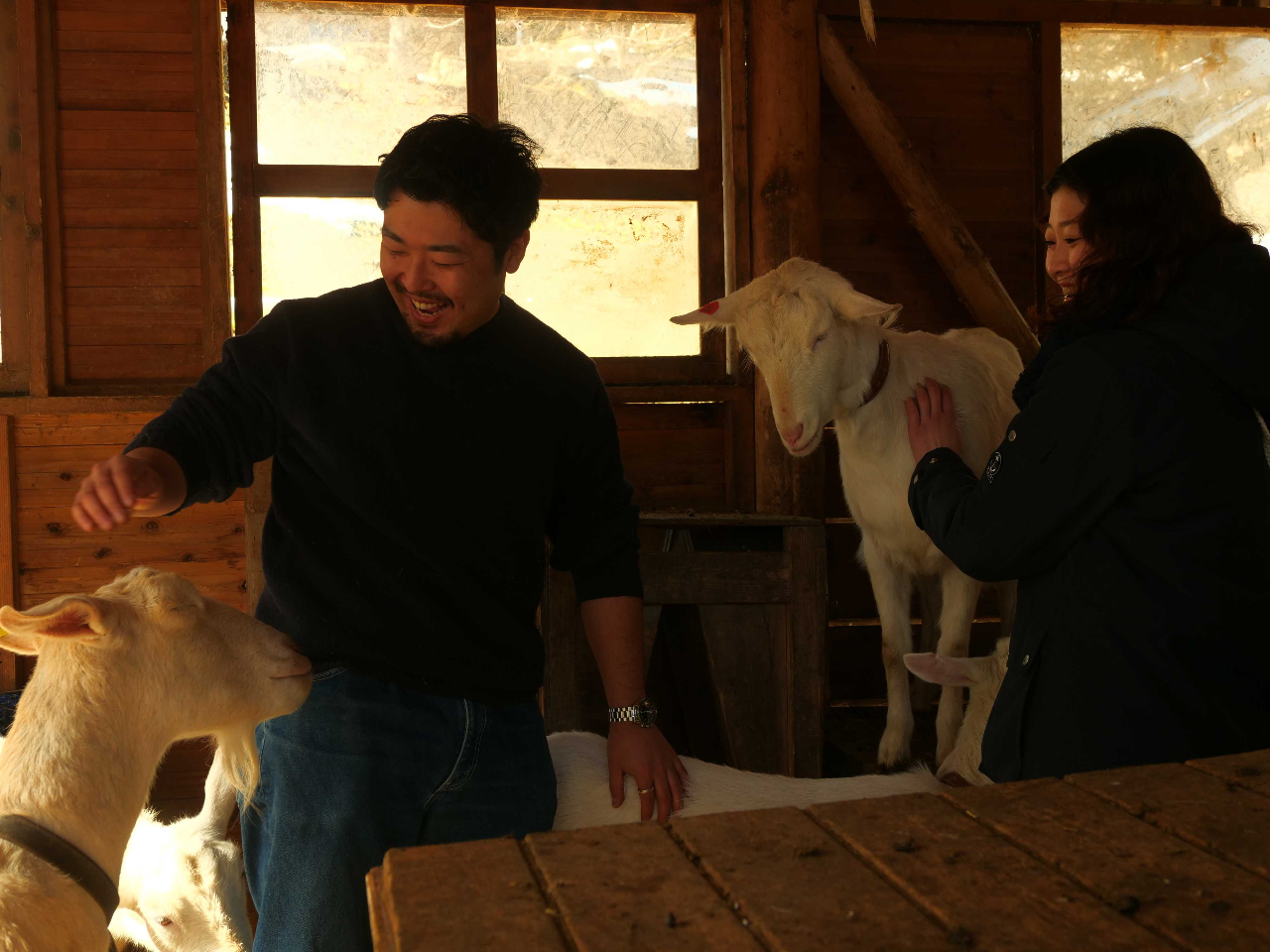 �����ȎR�r�q��̎ʐ^4