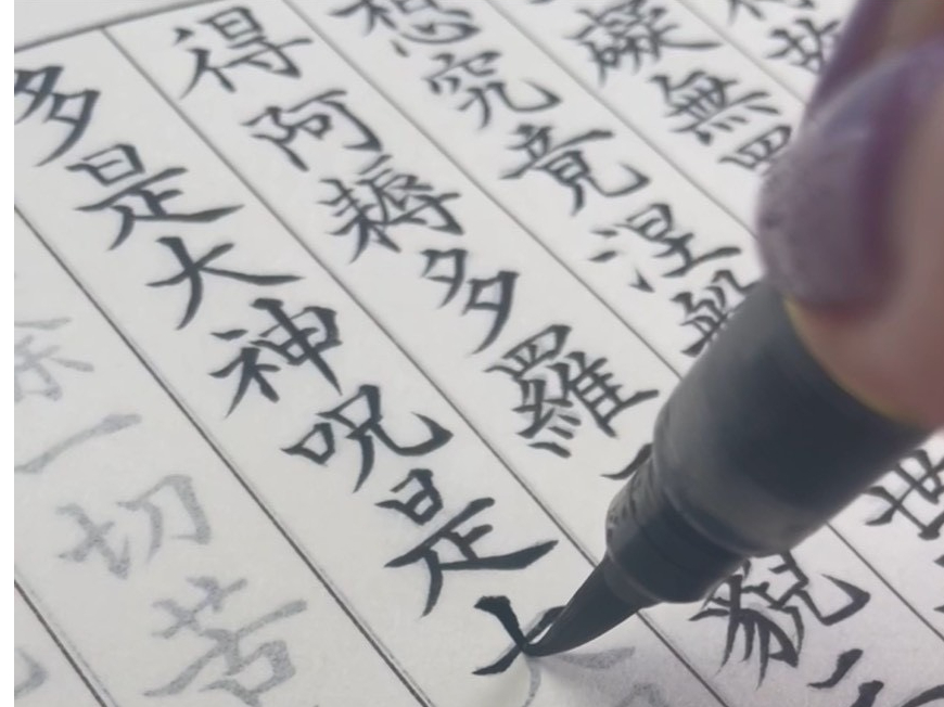 �F�ʍH�[ �Ԍ��t�̎ʐ^3