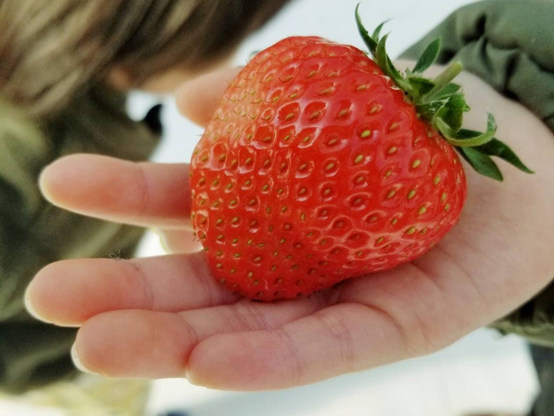 �j�V�E�G�ʉ��̎ʐ^2