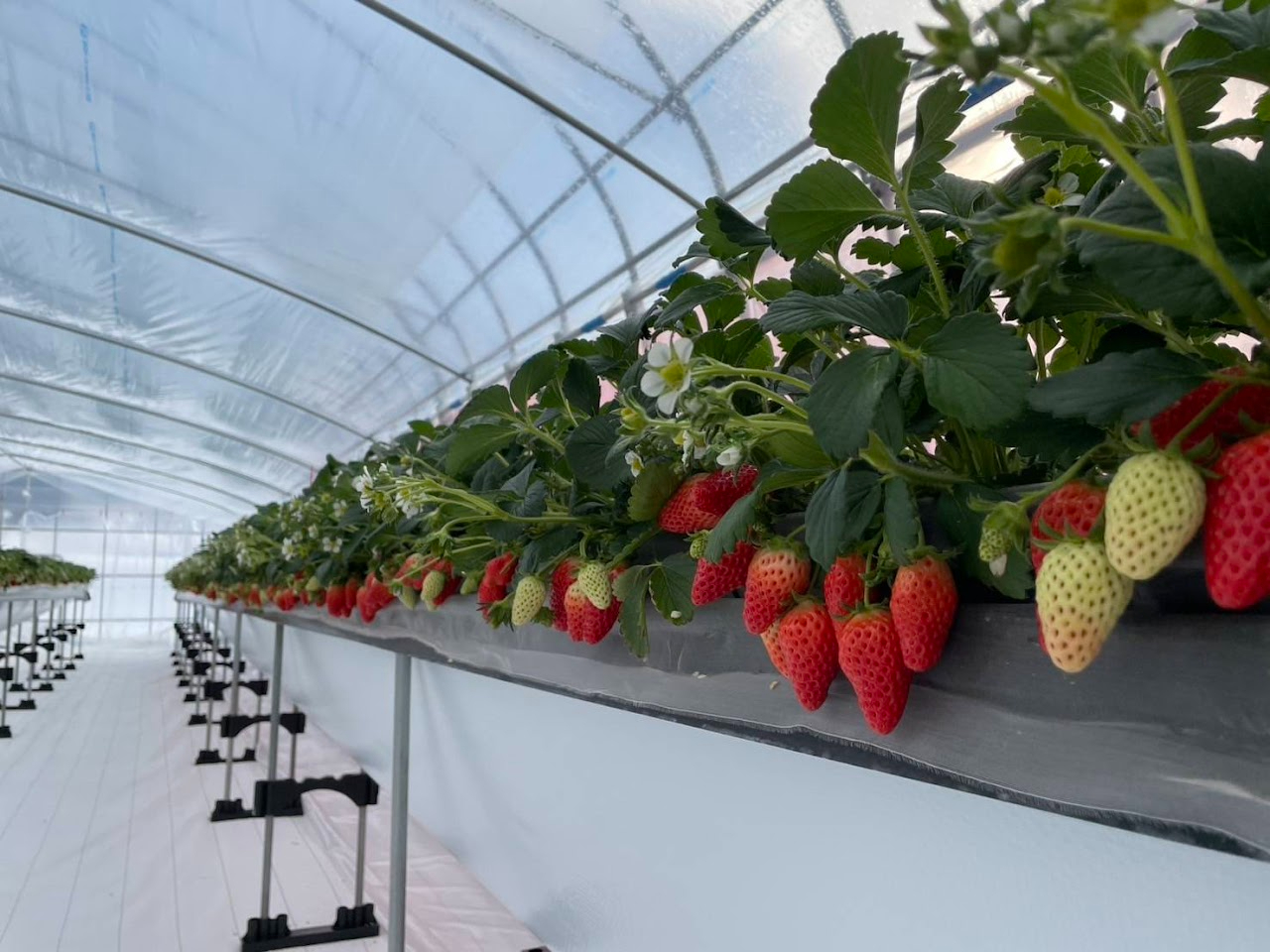 �j�V�E�G�ʉ��̎ʐ^1