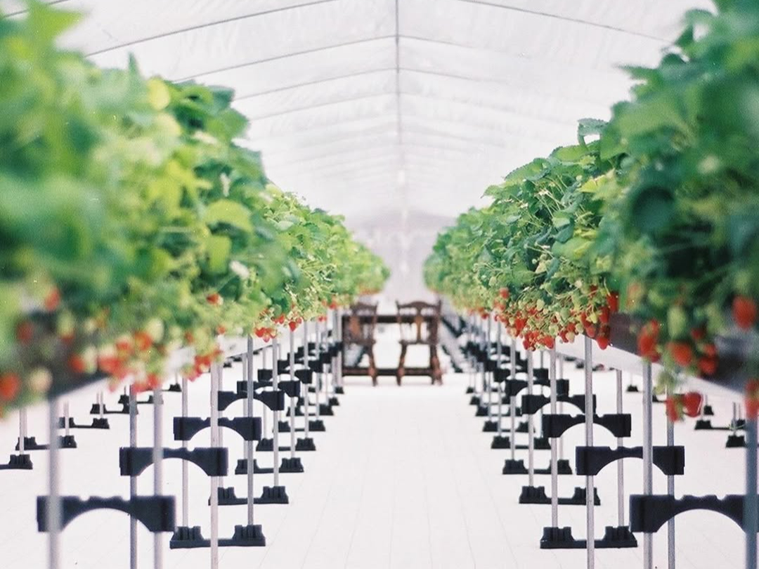 �j�V�E�G�ʉ��̎ʐ^4