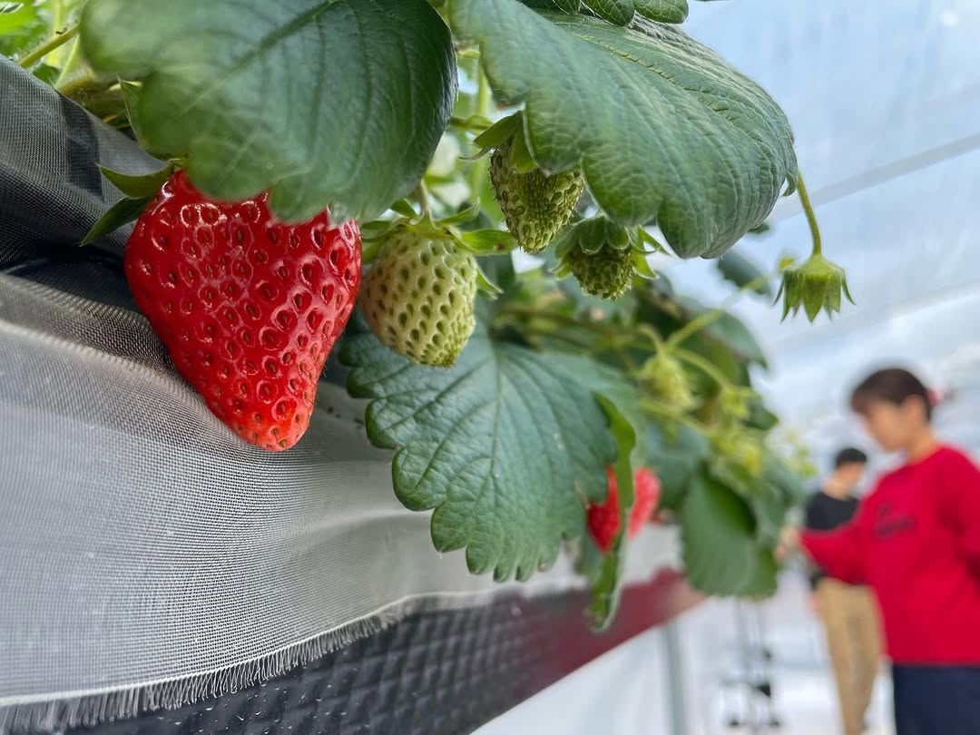 �j�V�E�G�ʉ��̎ʐ^3