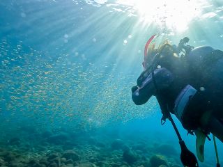 熱海の海で綺麗な海と魚を見よう!
