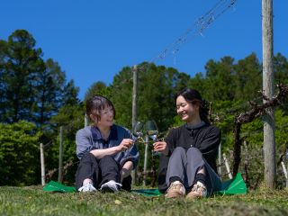 世界注目されている仁木町のワインブドウ畑!ガイドと散策して実際に作業を体験してみましょう。畑の中で飲むワインは最高ですよ!