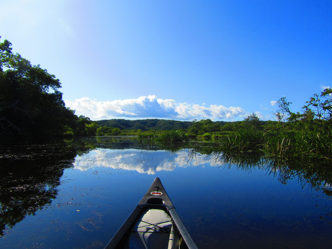 ���݃s�[�X�t�����o�[�J�k�[�̎ʐ^1