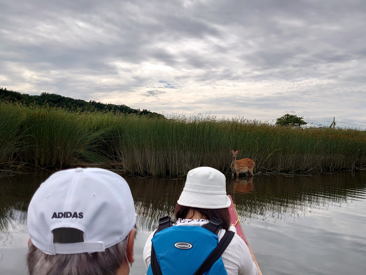 ���݃s�[�X�t�����o�[�J�k�[�̎ʐ^3