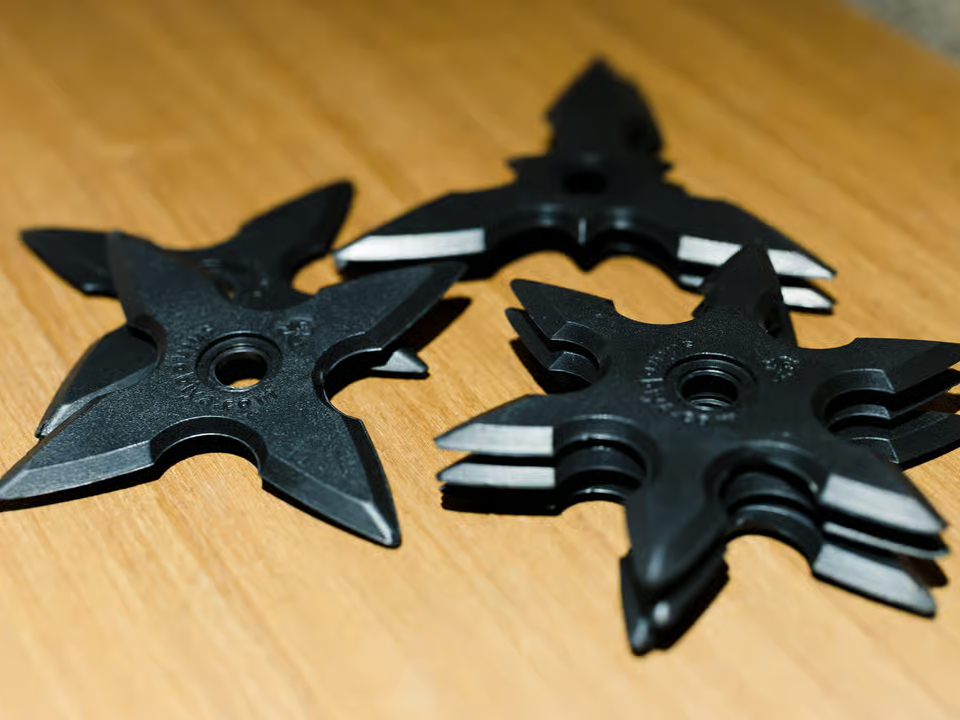 Ninja Sanctuary�̎ʐ^4