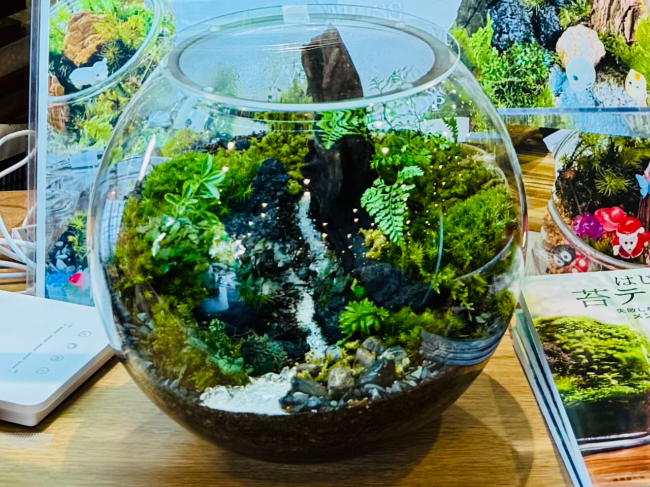 広島・福山】＼自分だけの小さな森をつくろう！／苔テラリウム体験