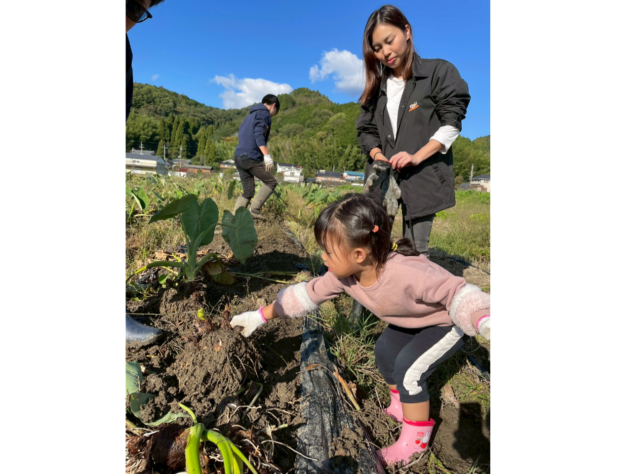 anokonofarm�̎ʐ^1