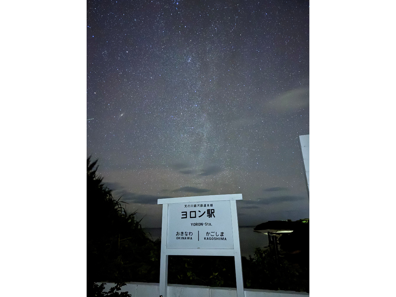 �_�������w�^�������w��������u�r�h�E�V�����v�ł́A�f�R��ǂ̐�i�𒭂߂Ȃ���U����y���ނ��Ƃ��ł��܂���