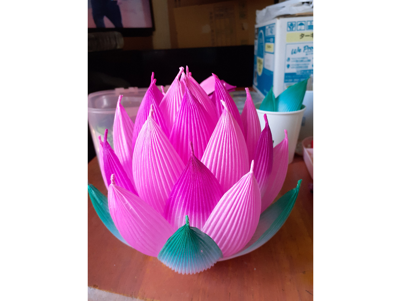 神奈川・鎌倉】《光の花がそっと咲く、蓮のランプシェード作り体験