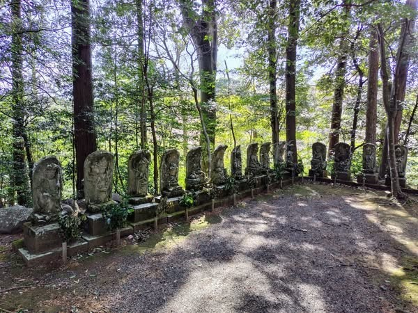 静岡・修善寺】＼修善寺自然公園もみじ林内／楠の香りに癒されながら