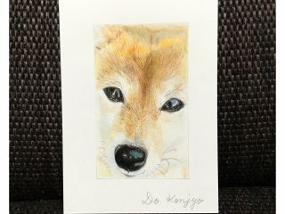 初めての方、絵心がないという方でも大丈夫です。体験では真珠を描いて頂きます。教材をご用意してお待ちしております!