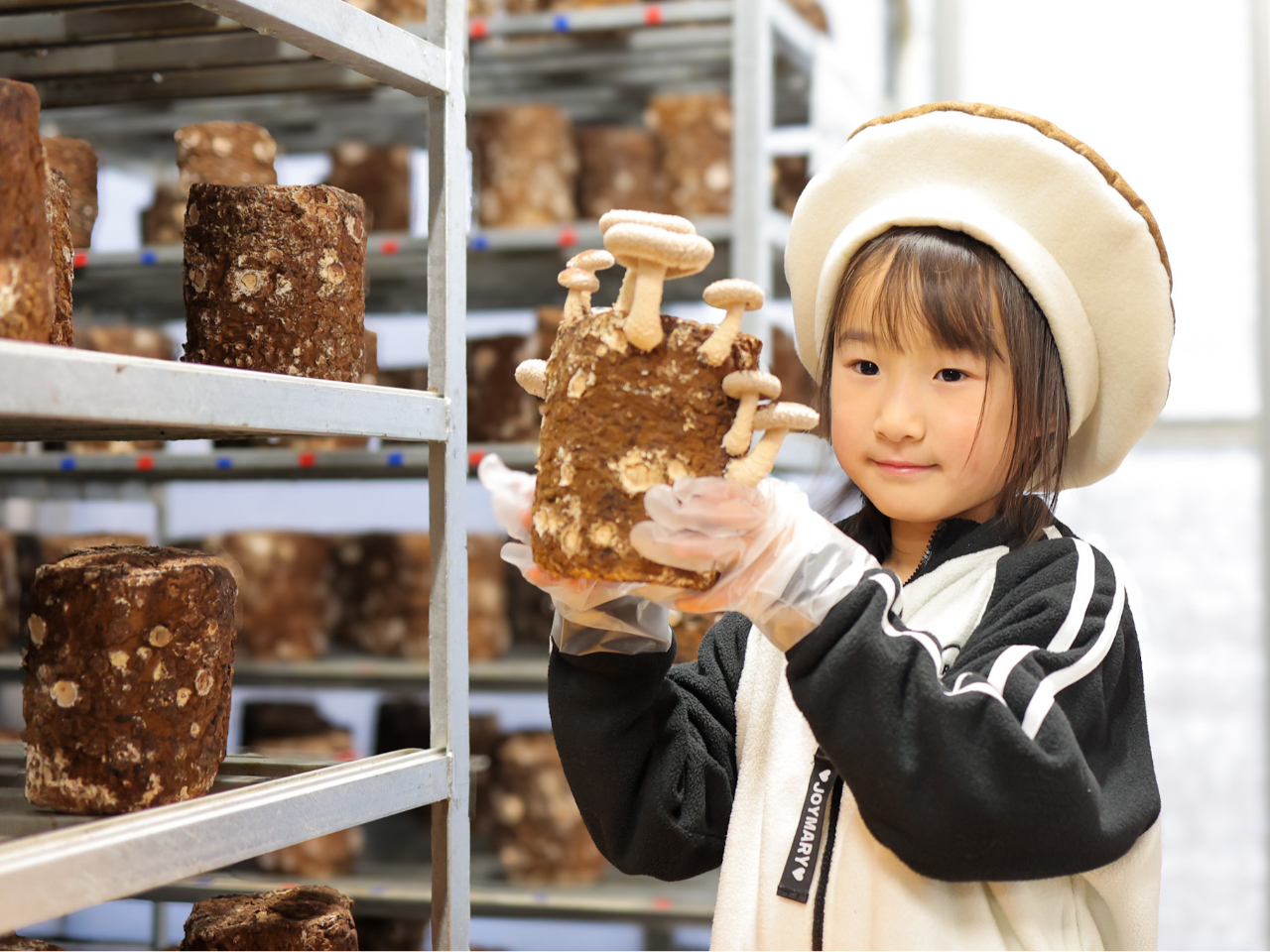 【千葉・船橋】《しいたけ狩り》~採って、食べて、学んで “ちょっと特別な休日体験...