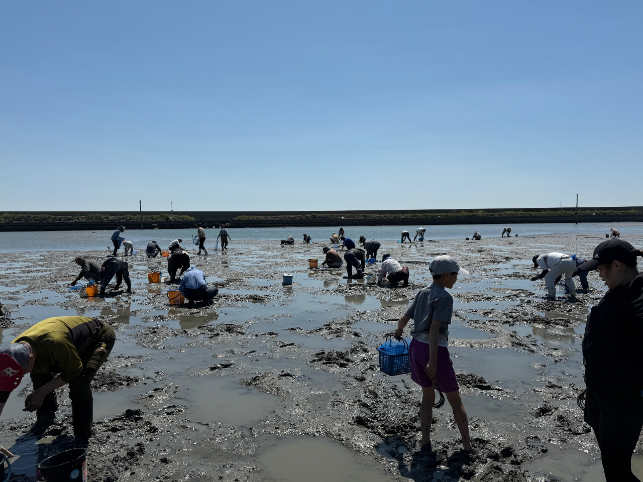 �V�[���C�t�p�[�N���̎ʐ^2