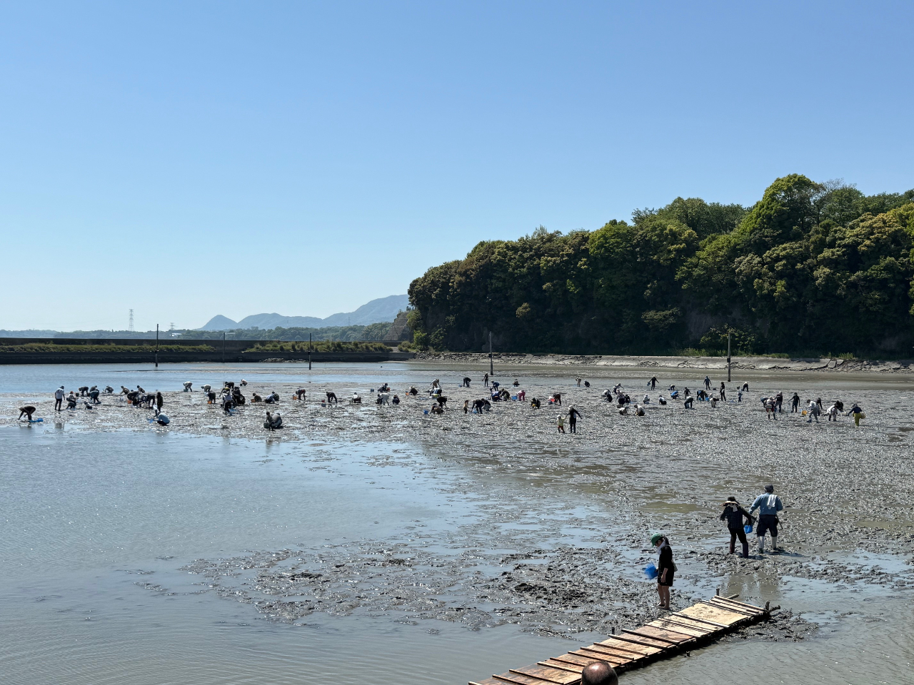 �V�[���C�t�p�[�N���̎ʐ^3