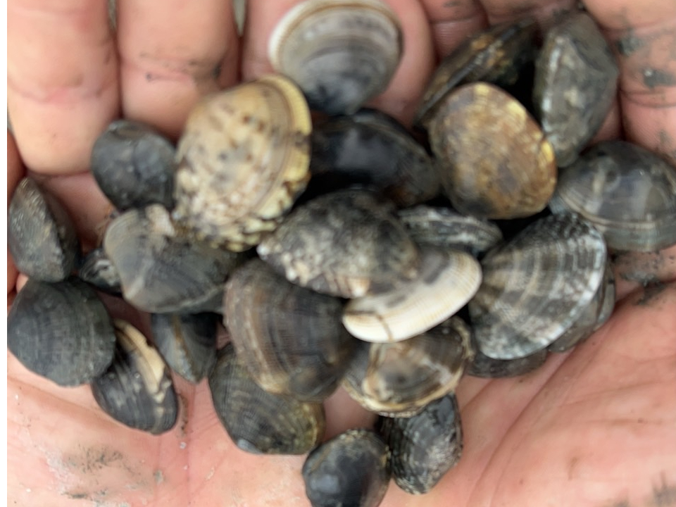 �V�[���C�t�p�[�N���̎ʐ^4