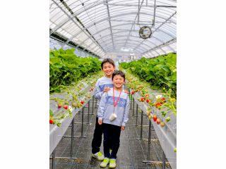 \真っ赤ないちごを45分間食べ放題!/老若男女に嬉しい収穫が楽々な高設栽培♪へた入れは首から下げられ、両手が空くのでとっても便利!