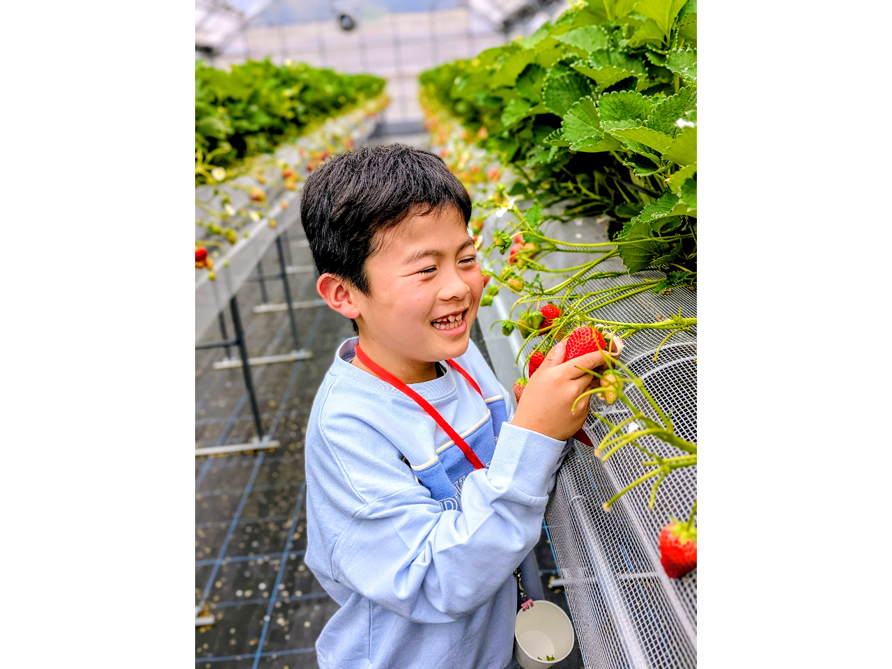 �_�����ł������킦�Ȃ����̂������g���Ƃ���h�^���_���̃I���W�i���i��I�Â݂Ƒu�₩�Ȏ_���������B�������{���̔Z��������l�C���