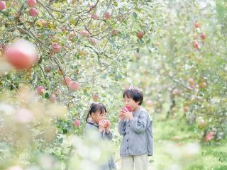 【”旬のおいしさ”大満喫!】広大な土地で太陽をたっぷり浴びて育った自慢の完熟りんごを存分にお楽しみください♪