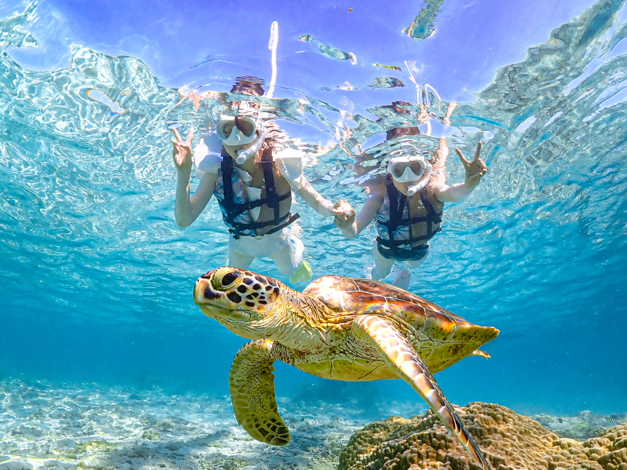 ＼高性能水中カメラで撮影！ウミガメと一緒に写真撮影をしよう♪／