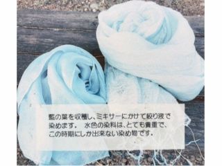 夏限定の人気体験登場!