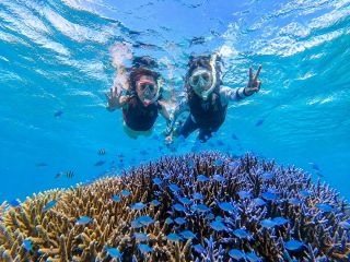 石垣島の透明度抜群の海へ!