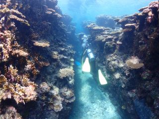 海中散歩にはモッテコイの地形