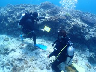 リアル水族館の世界