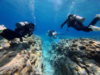 リアル水族館の世界