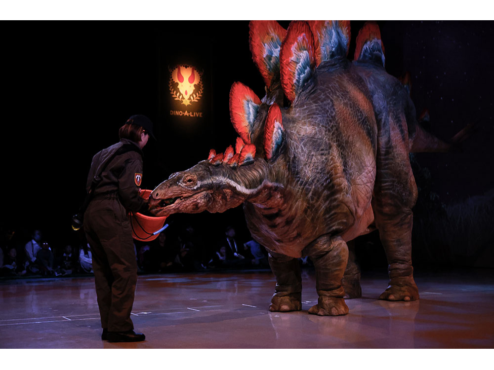 DINO SAFARI 2026 �������̎ʐ^4