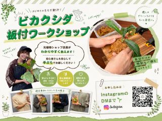 植物との暮らしを始める簡単なワークショップはいかがでしょうか