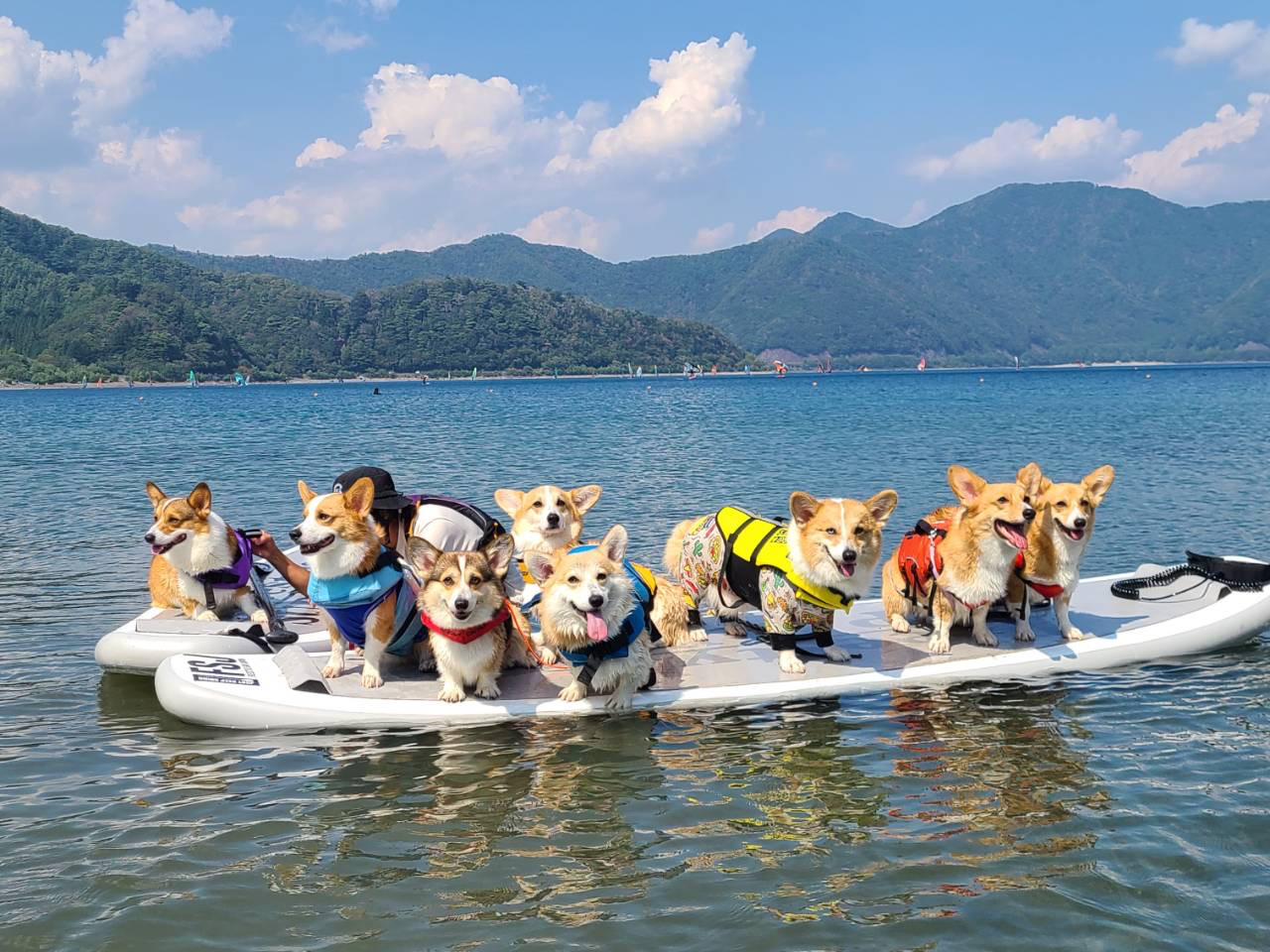 �����ƈꏏ�Ɋy���߂鐼��SUP�c�A�[