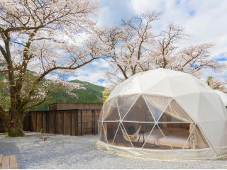 ドーム型テント 脇には焚き火スペースがございます。