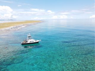 釣りポイント(海況により海水浴も可能)