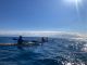外海の大海原へのロングツーリング