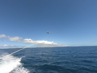 パラセーリングの飛行中です。