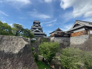 2026年6月撮影