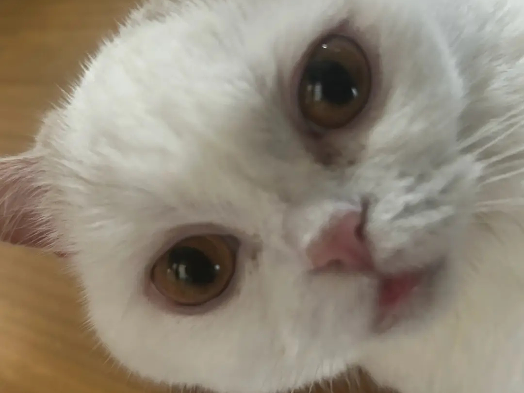 �L���b�g �����b�N�X �z�[���̎ʐ^3