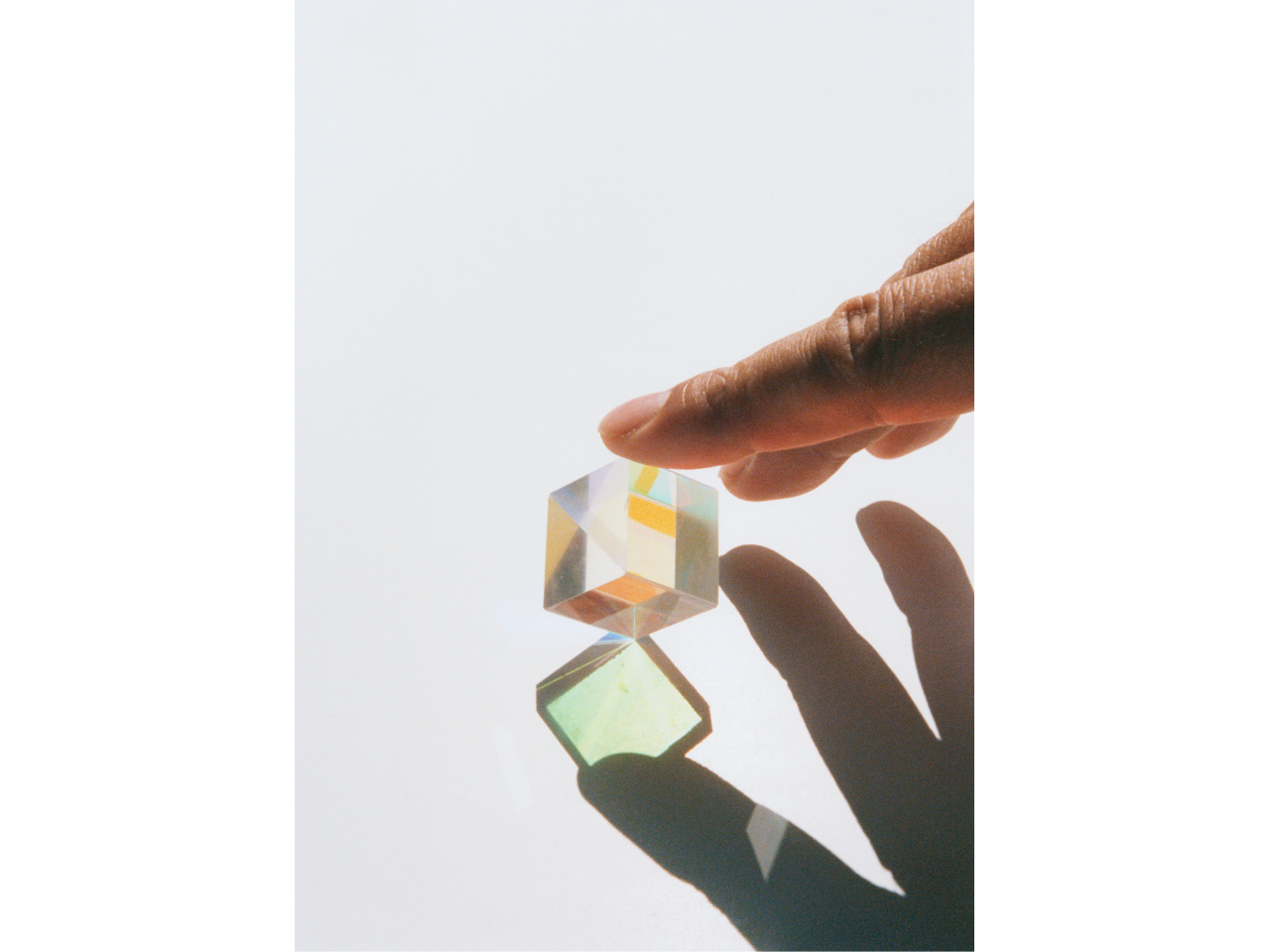 ������� �s�s�v�c�ȗ� #9�t 2014�N(C) Noguchi Rika Courtesy of Taka Ishii Gallery
