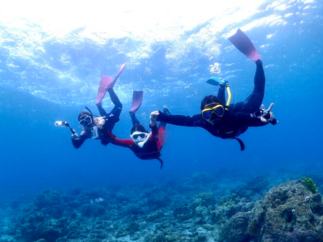 �y�É��E���ɓ��z�����V���m�[�P�����O�����`�C�܂œk��1���ILe Dive�Ŋ�����h�C�̐�i�̌��h�`�y���S�ґ劽�}�I�z�t�@�~���[�E�J�b�v���E�F�l�E�����ɂ������߁�
