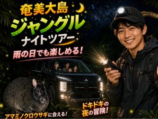 さあ、奄美の夜の冒険へ。アマミノクロウサギを探しに出かけよう!基本的には車の中からの観察になりますので、ほとんど歩く必要がありません。雨の日でも開催中!