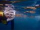 透明度抜群の佐渡の海でシュノーケリング&海洋生物観察♪
