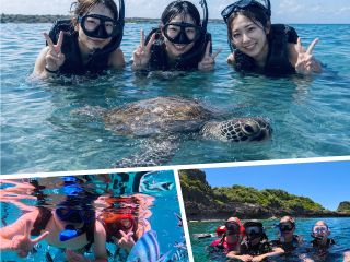 運が良ければウミガメと一緒に泳げるかも♪